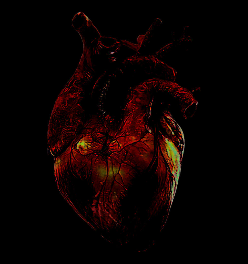 Beating Heart